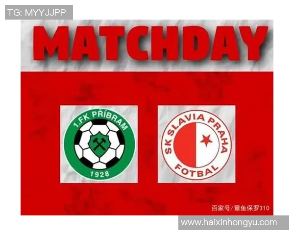 捷克与日本篮球对决前瞻分析及胜负预测解析