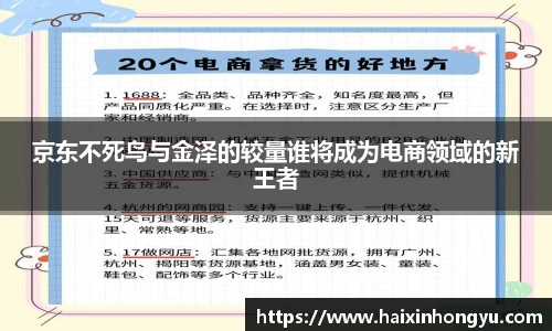 京东不死鸟与金泽的较量谁将成为电商领域的新王者